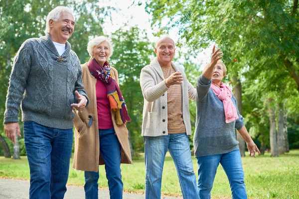 Joyful elderly friends enjoying picturesque view while walking along park alley, pretty woman pointing at something while her handsome husband embracing her gently