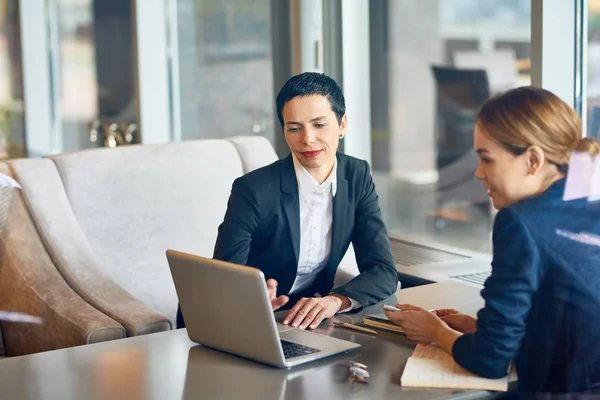 Vackra Kollegor Samlades Härliga Café Med Panoramafönster Och Brainstorming Gemensamma — Stockfoto