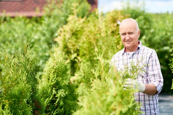 Retrato Sorrir Velho Apreciando Trabalho Jardim Cuidando Plantas Olhando Para — Fotografia de Stock