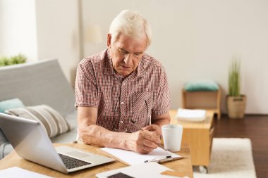 Laptop ile evde çalışan üst düzey adam portresi mali sayma