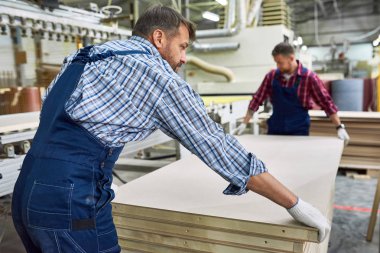 İki işçi ağır ahşap panoları sürüsü modern fabrikada hareketli mavi tulum giyen portresi