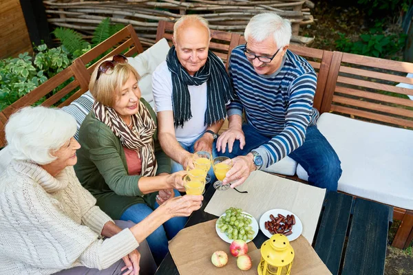 High Angle Portrait Two Retired Couples Toasting Holding Juice Glasses — Stock Photo, Image