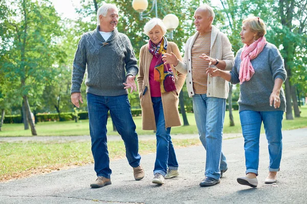 Portrait Two Senior Couples Going Walk Park Smiling Happily Chatting — Stock Photo, Image