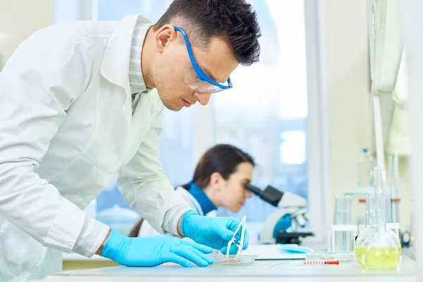 Vista Perfil Del Científico Concentrado Que Inspecciona Calidad Muestra Carne — Foto de Stock