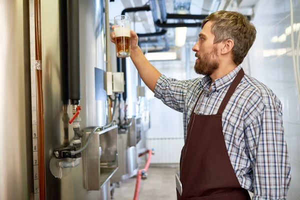 认真周到的中年白人啤酒工程师在围裙拿起啤酒玻璃检测酿造饮料的颜色和泡沫 — 图库照片