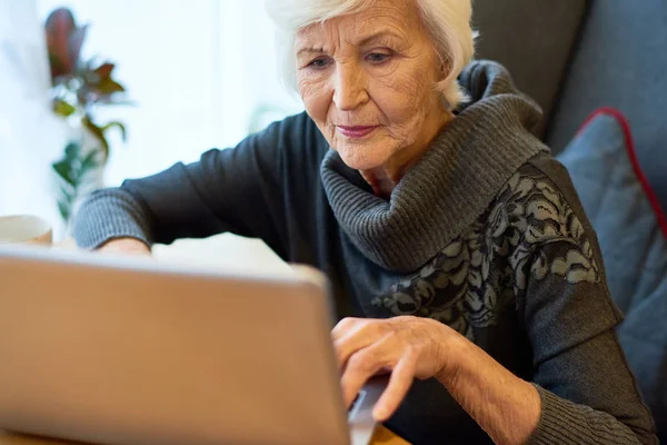 Rahat küçük kafede, portre vurdu otururken çalışmalarında konsantre yaşlı girişimci gri kazak giyen sarılmış