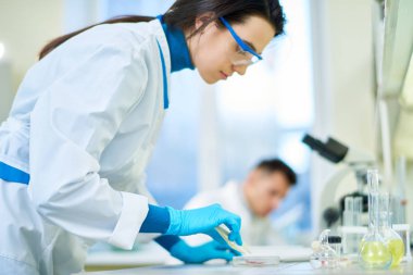 Profil görünümü Beyaz önlük ve Emanet giyen genç bilim adamı ayakta laboratuvar tezgah, gözlük ve iddialı araştırma, arka plan bulanık sarılmış