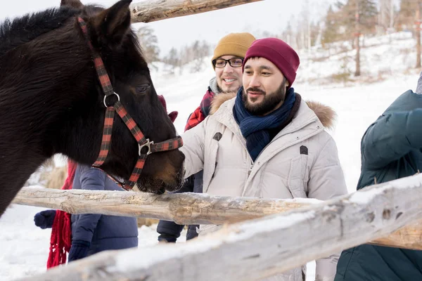 Porträtt Modern Ungdomar Klappa Hästar Stående Trästaket Njuter Trevlig Vinterdag — Stockfoto