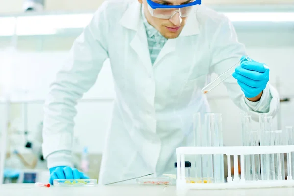 Guapo Joven Investigador Con Gafas Seguridad Capa Blanca Mirando Tubo — Foto de Stock