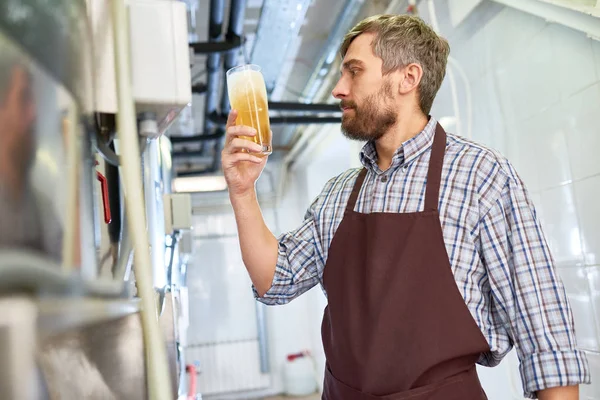 ひげを生やしたハンサムな醸造所の監督現代醸造工場で醸造された飲料の品質を確認しながら完全ビール パイントを保持しているエプロンの専門家を集中してください — ストック写真