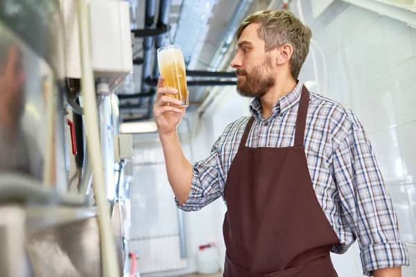 Especialista Cervejeiro Bonito Barbudo Concentrado Avental Segurando Cerveja Completa Enquanto — Fotografia de Stock