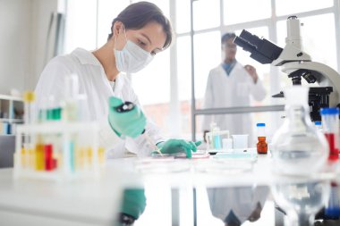 Laboratuvarda çalışan, tıbbi araştırmalar için test örnekleri hazırlayan genç bir kadının yan görünüm portresi.