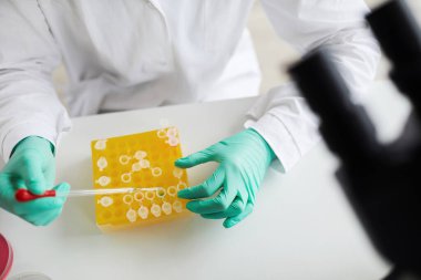 Yukarıda, tıp laboratuarında çalışırken test numuneleri hazırlayan kadın bilim adamının yakından görüntüsü, uzay kopyası.