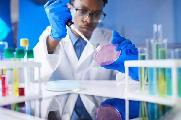 Joven Afroamericano Sujetando Placa Petri Cámara Mientras Trabaja Investigación Médica — Foto de Stock