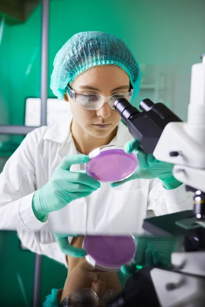 医学实验室研究时拿着培养皿的年轻女科学家画像 — 图库照片