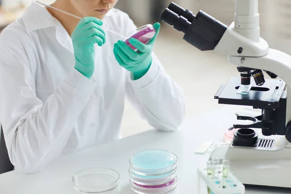Rajattu Muotokuva Nuori Nainen Työskentelee Laboratoriossa Valmistelee Testinäytteitä Petrimaljassa Mikroskooppitutkimukseen — kuvapankkivalokuva