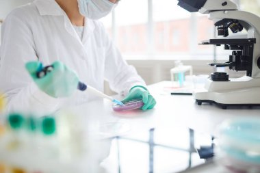 Cropped portrait of young woman preparing test sample in petri dish while working on research in medical laboratory clipart