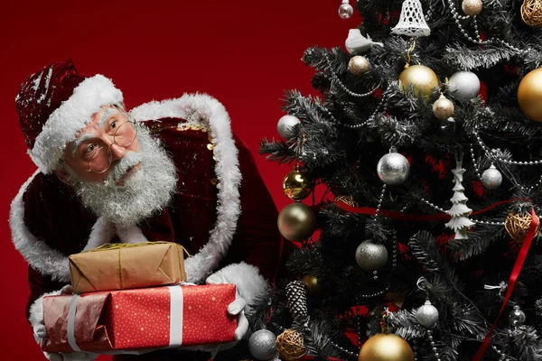 Taille Omhoog Portret Van Klassieke Kerstman Verbergen Kerstcadeaus Onder Dennenboom — Stockfoto