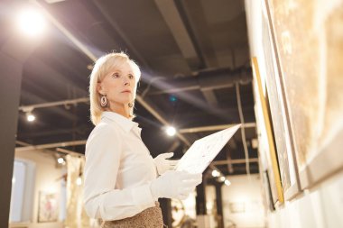 Modern galeri ya da müzede sanat eserlerine değer biçerken kadın sanat uzmanının düşük açılı portresi, kopyalama alanı