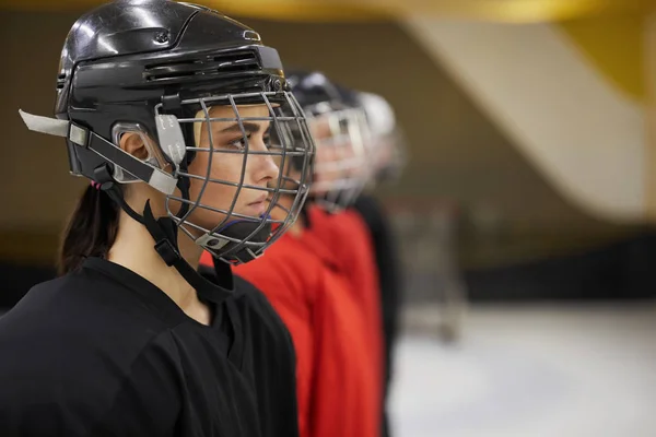 hóquei jogador silhueta nhl Esportes jogos vetor conjunto Projeto