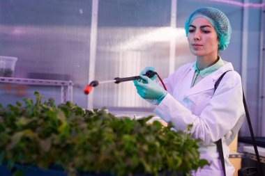 Biyoloji laboratuvarında ya da serada yeşil bitkilerin üzerine gübre sıkan kadın işçilerin portresi, kopyalama alanı