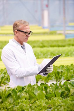 Endüstriyel seradaki çiçek plantasyonunda çalışırken elinde pano tutan yetişkin bir bilim adamının dikey portresi