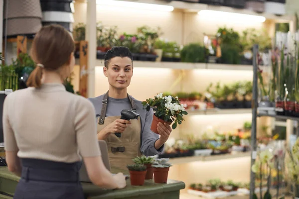 Çiçekçide Müşterilere Çiçek Satan Gülümseyen Fotokopi Çeken Modern Genç Bir — Stok fotoğraf