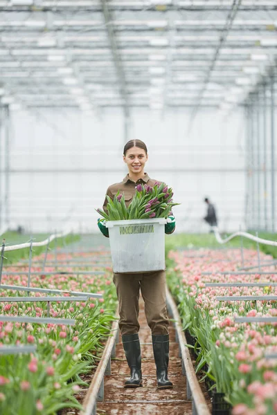 Retrato Larga Duración Una Trabajadora Sonriente Llevando Caja Tulipanes Frescos — Foto de Stock