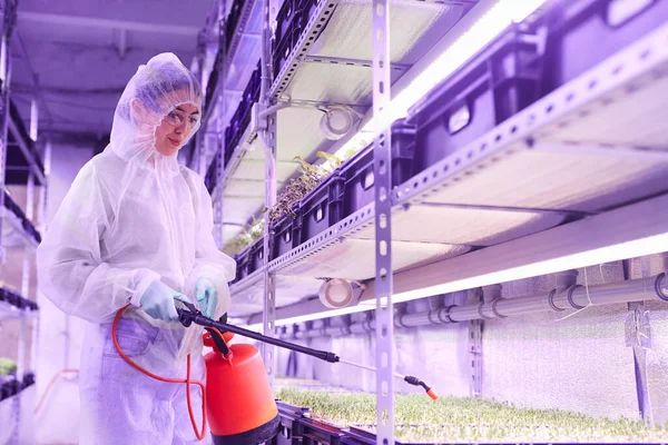 Cintura Hacia Arriba Retrato Mujer Ingeniero Agrícola Pulverización Fertilizante Mientras — Foto de Stock