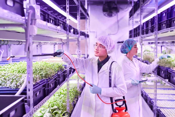 Retrato Dos Jóvenes Trabajadores Cuidando Plantas Invernadero Vivero Espacio Para — Foto de Stock