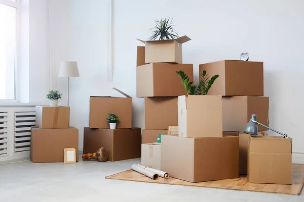 Minimal Background Image Cardboard Boxes Stacked Empty Room Plants Personal — Stock Photo, Image