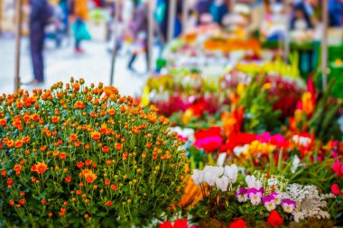 Çiçek durak haftalık Pazar üzerinde