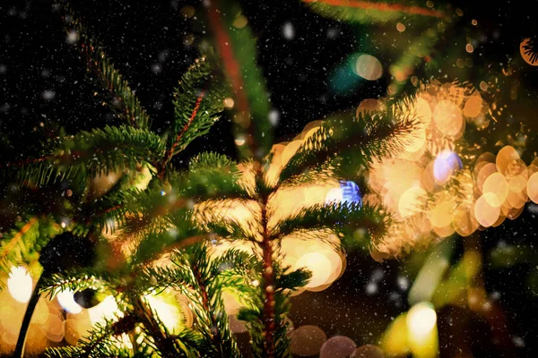 Detalle de un árbol de Navidad mientras cae la nieve — Foto de Stock