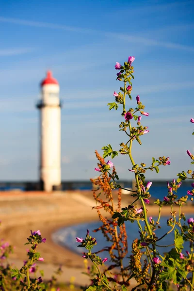 Červený Bílý Maják Před Modrá Obloha Při Západu Slunce — Stock fotografie