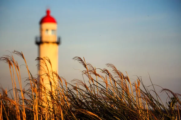 Red and white typical lighthouse between dune grass — Stock Photo, Image