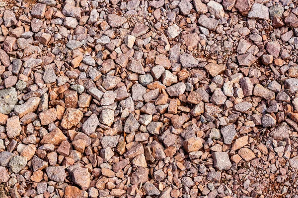 Background and texture of little stones on the ground — Stock Photo, Image