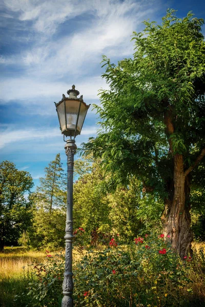 Historiallinen katuvalaisin puistossa — kuvapankkivalokuva