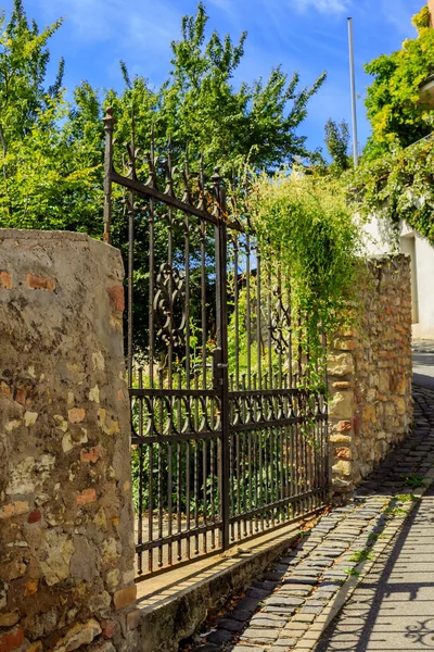 Iron gate to the garden in a wal — Stock Photo, Image