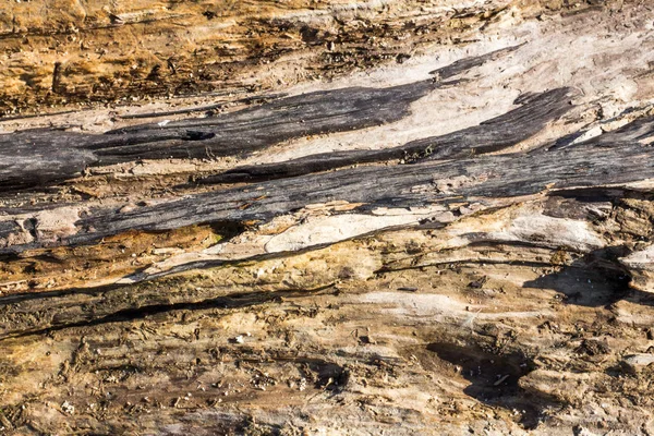 Arka plan olarak dalgaların karaya attığı odun yapısı — Stok fotoğraf