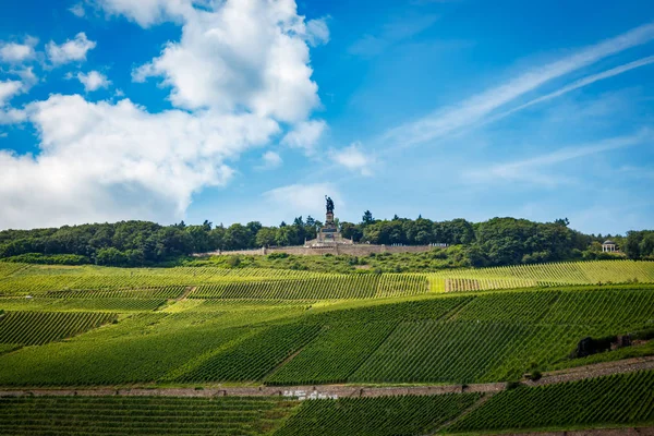 Niederwald anıt, Germania heykeli 