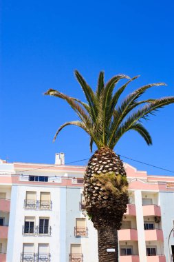 Akdeniz ev cephe önünde palmiye ağacı