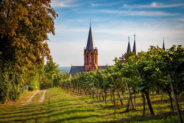 Katharinenkirche in Oppenheim - Typical German church — Stock Photo, Image