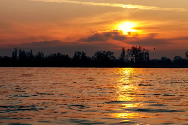Glowing sunrise on the Rhine in Nierstein — Stock Photo, Image