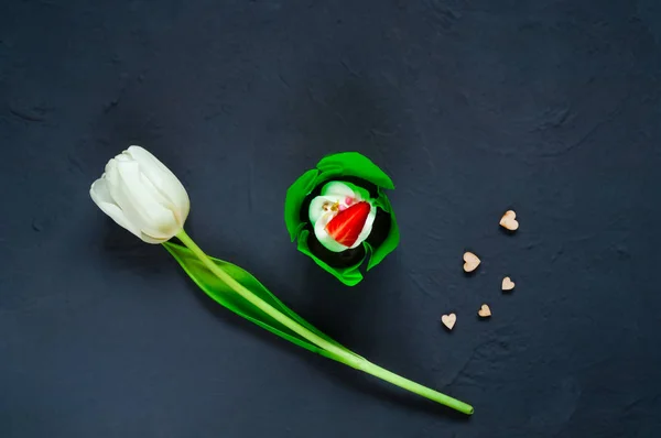 Dessert und eine weiße Tulpe auf dunklem Hintergrund mit Herzen, Platz für Text, Urlaubskonzept — Stockfoto