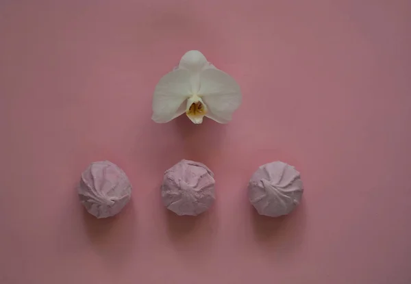 Hatmi nazik bir pembe bir beyaz orkide çiçek, üstten görünüm, oryantal tatlılar kavramı üzerinde — Stok fotoğraf