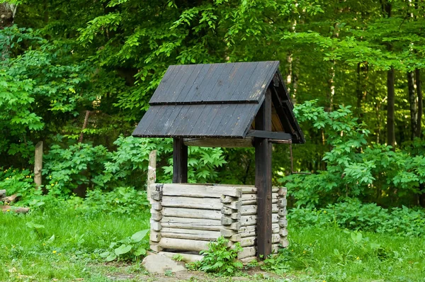 Originální dřevěná studna s černou střechou v lese, koncept autentické objektů v přírodě, kopie prostor — Stock fotografie