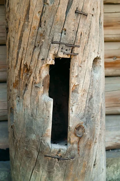 Rechthoekige gat, houten achtergrond van natuurlijk hout, concept van natuurlijke materialen, kopie ruimte, — Stockfoto