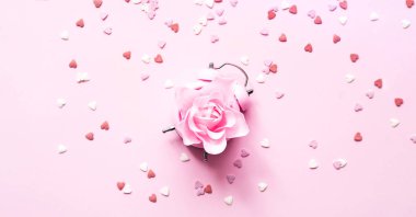 Çalar saat ve pembe arka planda güller açan neşeli bir konsept. Sevgililer Günü. Yakın plan.