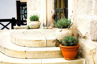 Duvarda bahçe çiçekleri olan klasik seramik vazo. Evde bahçıvanlık. Yakın plan.