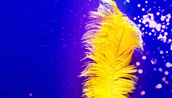 Penas de avestruz amarelas em fundo azul com brilhos. Conceito de ano novo chinês. Fundo de férias para embalagens e projetos. Close-up — Fotografia de Stock